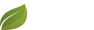 Kombi ve Klima Servisi